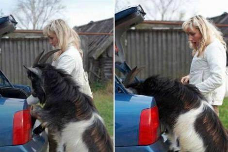 Dünya'da en çok tıklanan fotoğraf kareleri - Resim: 4