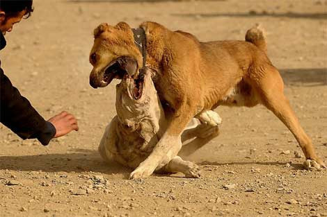 İşte günün en ilginç kareleri - Resim: 4