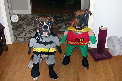 En çatlak resimler! - Resim: 2