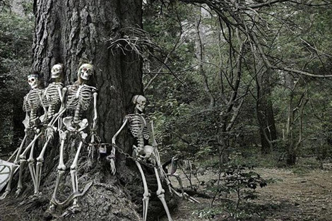 En çatlak resimler! - Resim: 3