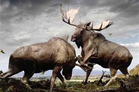 İnternette en çok tıklanan fotoğraflar! - Resim: 2