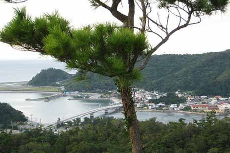 100 yaşına kadar yaşanan ada! - Resim: 2