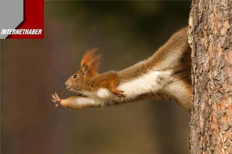 Ah şu çılgın dünya - Resim: 3