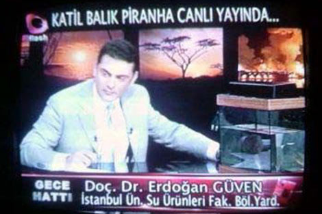 Yurdum insanının pratik zekası! - Resim: 15