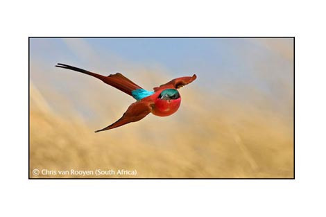 Başka bir alem - Resim: 1