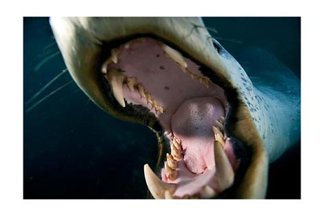 Başka bir alem - Resim: 2