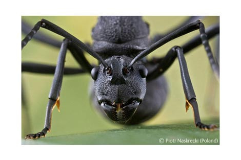 Başka bir alem - Resim: 3