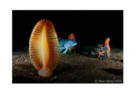 Başka bir alem - Resim: 4