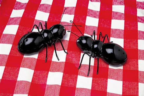 Tuzlukta son moda - Resim: 1