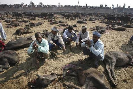 Tanrıçaları uğruna kurban ediyorlar - Resim: 3