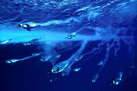 Buzulların altındaki mucizeler - Resim: 4