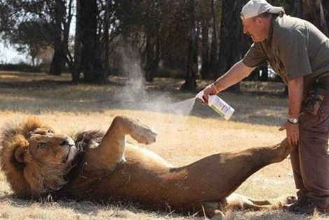 Günün en renkli fotoğrafları - Resim: 2