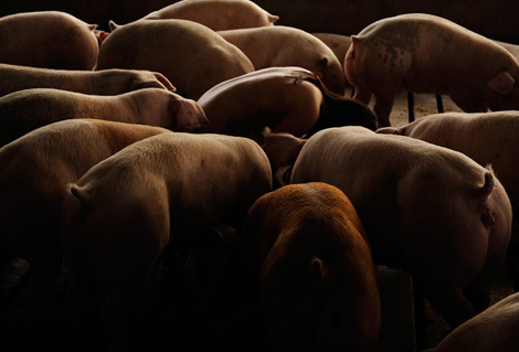 Yine çırılçıplak soyundu - Resim: 4