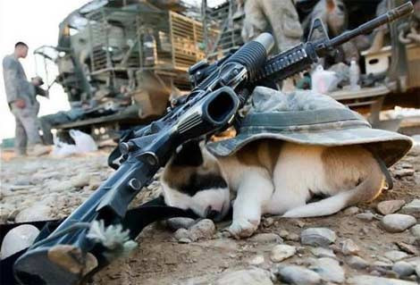 Bu fotoğraflar ağzınızı açık bırakacak - Resim: 4