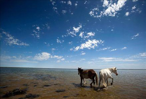 Hayvanlar aleminin o anları - Resim: 4