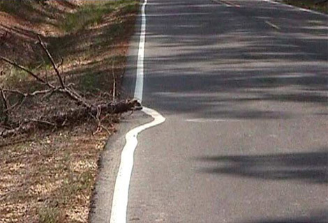 Yurdum insanı güldürdü - Resim: 2