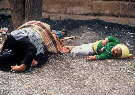 Halepçe Katliamı'nın 27. yıldönümü - Resim: 4