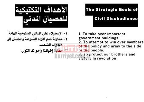 Mısır'da herkesin cebinde bu kitapçık var - Resim: 3