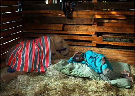 Enteresan ilişkiler sizi çok şaşırtacak! - Resim: 2