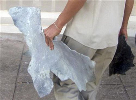 UFO infilak etti! - Resim: 3