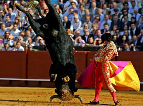 Boğaların İntikamı - Resim: 1