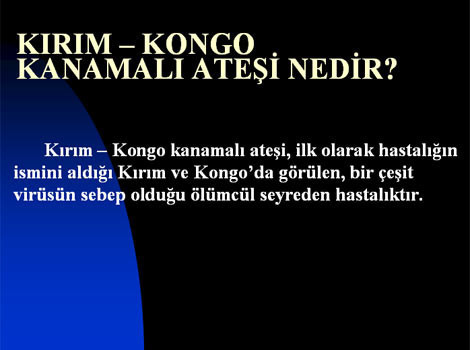 Kene hakkında her şey! - Resim: 1