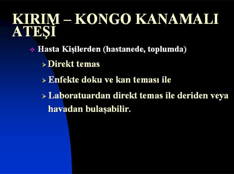 Kene hakkında her şey! - Resim: 4