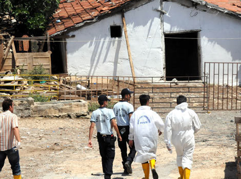 Boş arazide 13 ceset! - Resim: 3