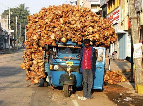 Komik fotoğraflar - Resim: 1