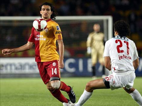 Aslan ağır yaralı - Resim: 1