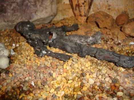 Türk piramitleri ezberleri bozacak - Resim: 1