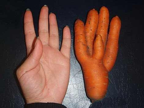 Biraz da gülelim - Resim: 2