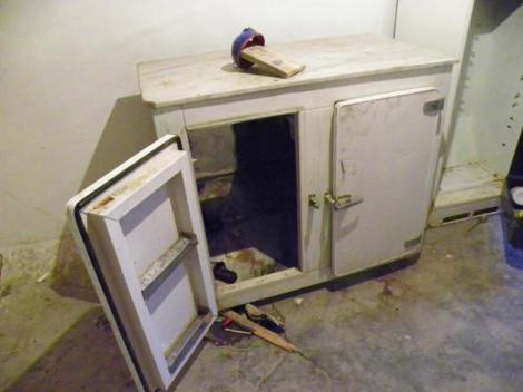 Buzdolabında 4 çocuk cesedi - Resim: 2