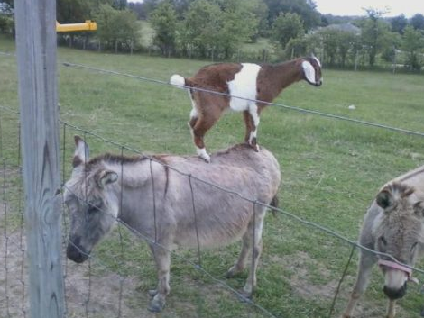 Günün tıklanma rekoru kıran kareleri - Resim: 4