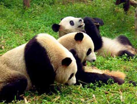 Bilim adamları fena şaşırdı - Resim: 2