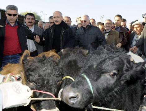 CHP Liderinin ziyareti sırasında kavga - Resim: 4