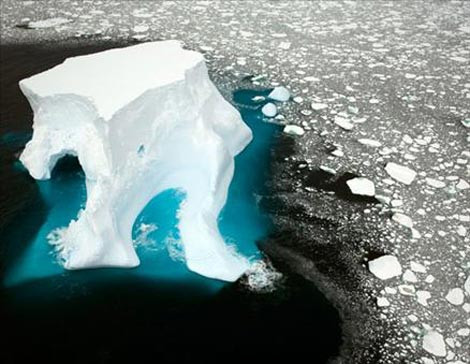 Doğa alarm veriyor! - Resim: 1