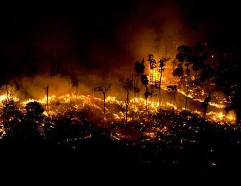 Doğa alarm veriyor! - Resim: 2