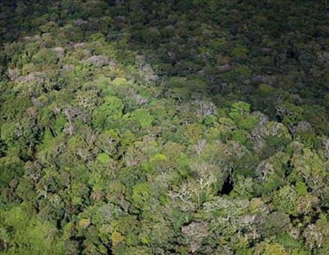 Doğa alarm veriyor! - Resim: 3