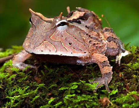 Doğa alarm veriyor! - Resim: 4