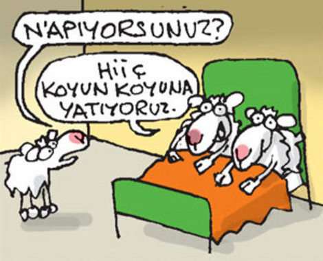 Bayramlık karikatürler - Resim: 3