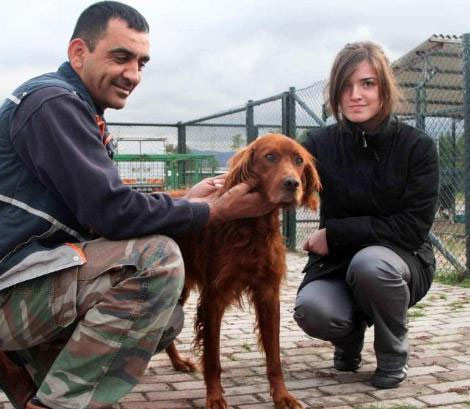 Köpek vefası - Resim: 1