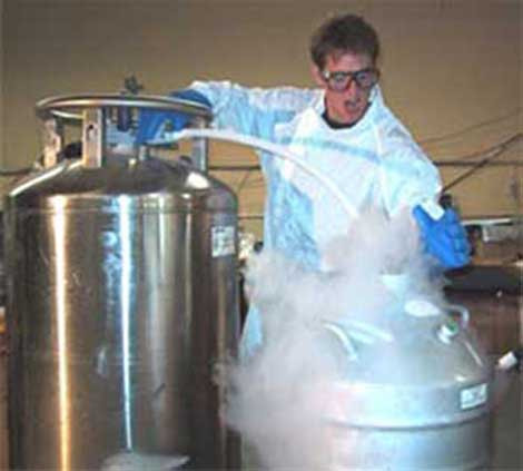 Bilim adamları fena şaşırdı - Resim: 1