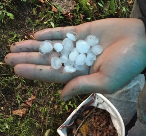 Ordu'da dolu afeti - Resim: 4