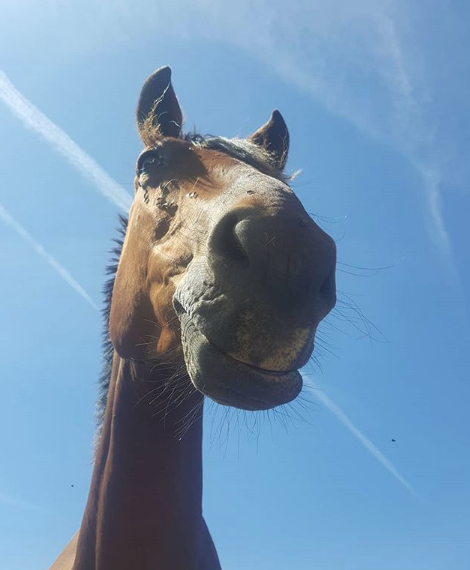 Ata tecavüz eden sapıktan skandal savunma 'Bana göz kırptı onay verdi' - Resim: 3