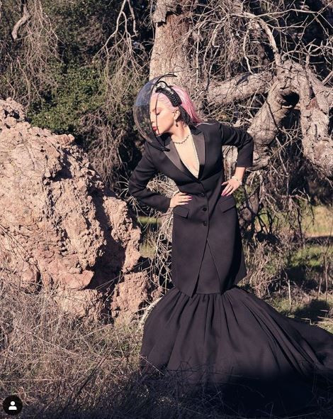 Koronavirüs için bağış yapan Lady Gaga: Hepimiz aynı gemide değiliz - Resim: 2