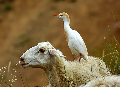 Tam o anda çekilen fotoğraflar - Resim: 3