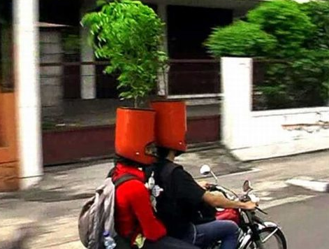 Gördüklerinize inanamayacaksınız! - Resim: 2