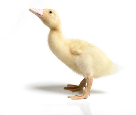 Bu bilgilere çok şaşıracaksınız! - Resim: 3