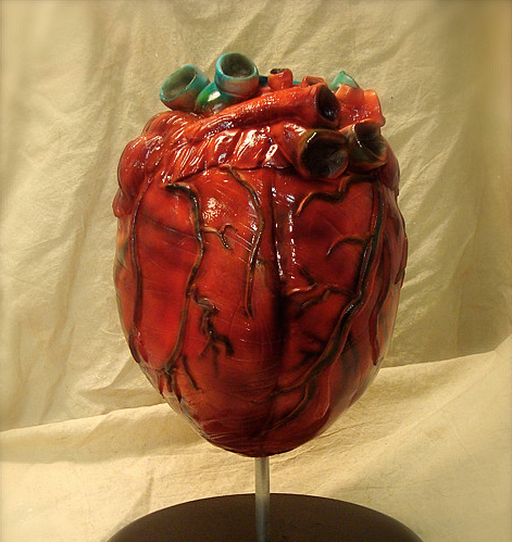 Bu organlar yenilebiliyor - Resim: 1